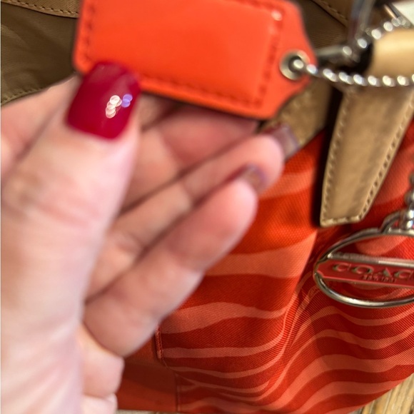 Coach Zebra - Picture 5 of 12